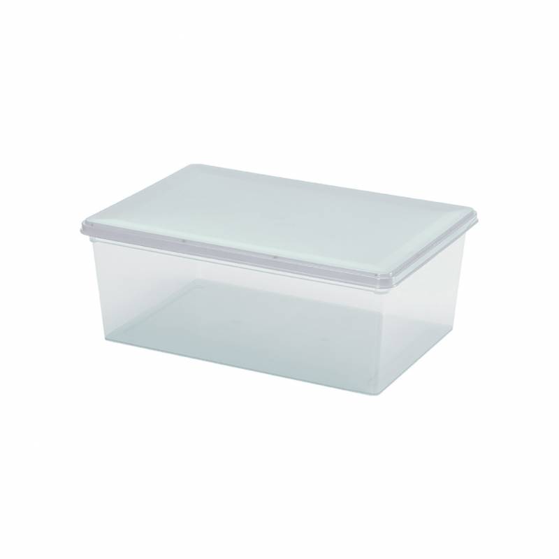 Rimax Caja Plastica 12 Lts Organizadora 9775-Xp